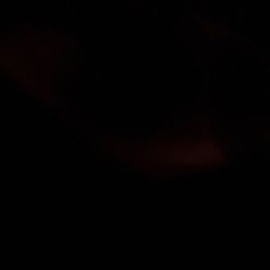 Meet your Posher, Tracey